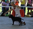 Pojizerská výstava psů 28.4.12