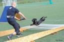 Tréning bull sportů 21.9.2014 Tréning bull sportů 21.9.2014