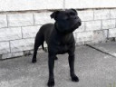 Terry 19.5.2018 Terry 19.5.2018